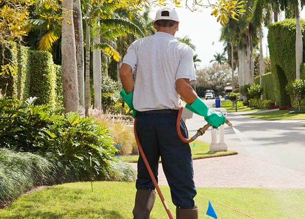 About Nokomis FL Pest Control Pros